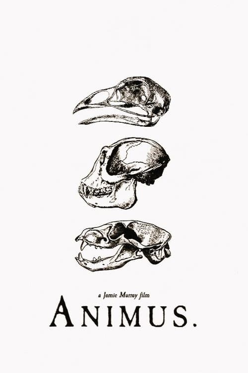 Постер: Animus