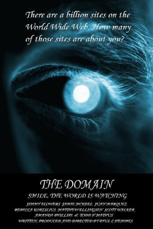 Постер: The Domain