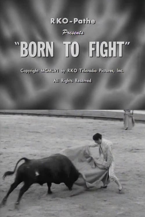 Постер: Born to Fight