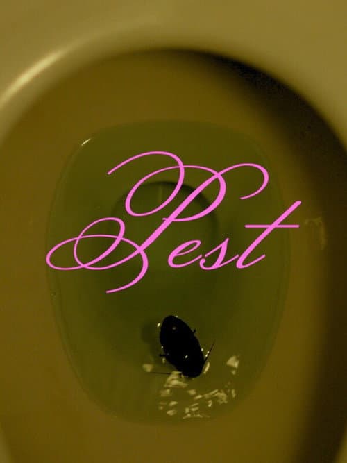 Постер: Pest