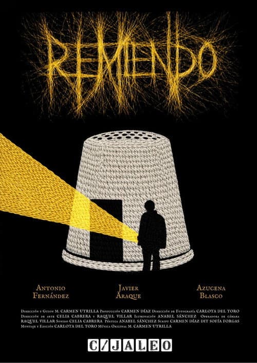 Постер: Remiendo