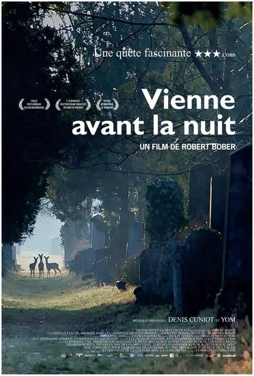 Постер: Vienne avant la nuit