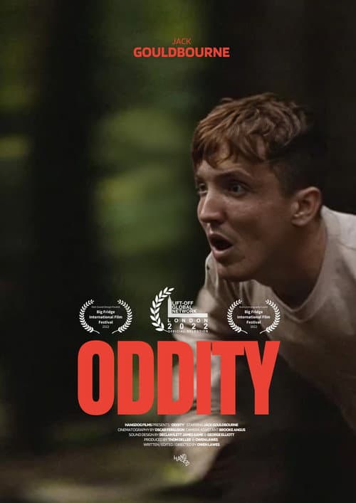Постер: Oddity