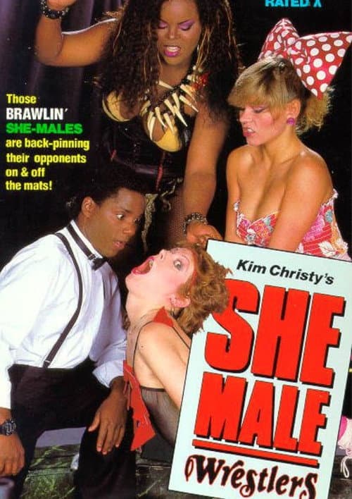 Постер: She-Male Encounters 14: She-Male Wrestlers