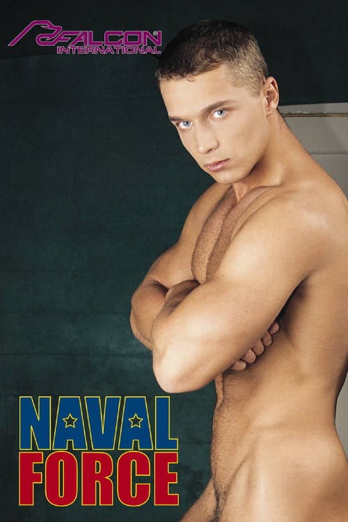 Постер: Naval Force