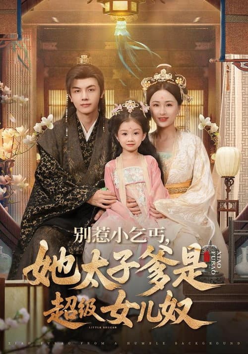 Постер: 别惹小乞丐,她太子爹是超级女儿奴