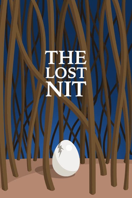Постер: The Lost Nit