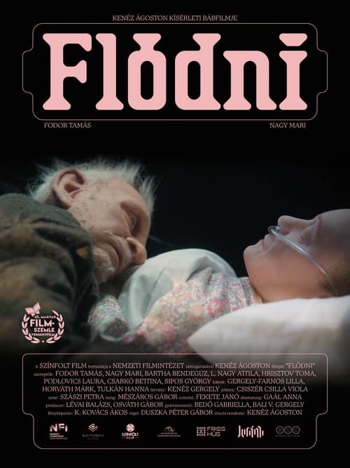 Постер: Flódni