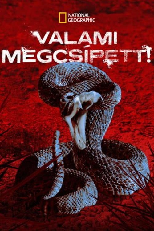 Постер: I Was Bitten