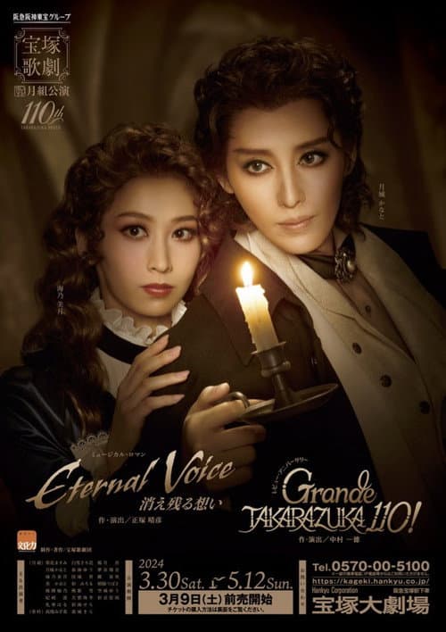 Постер: Eternal Voice 消え残る想い