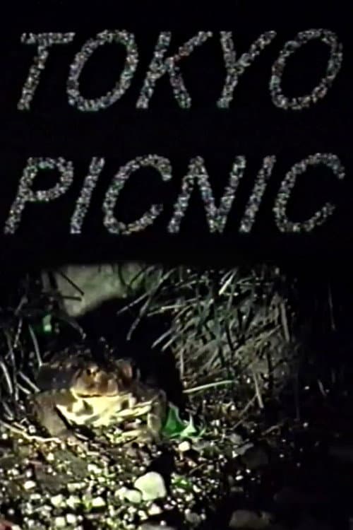 Постер: Tokyo Picnic