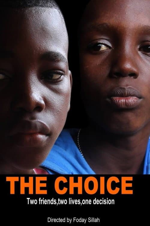 Постер: The Choice