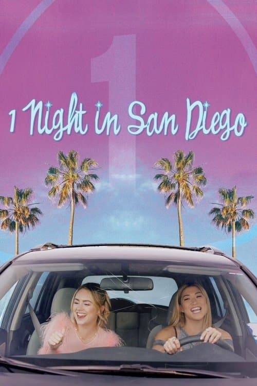 Постер: 1 Night in San Diego