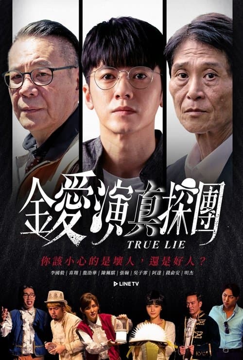 Постер: True Lie