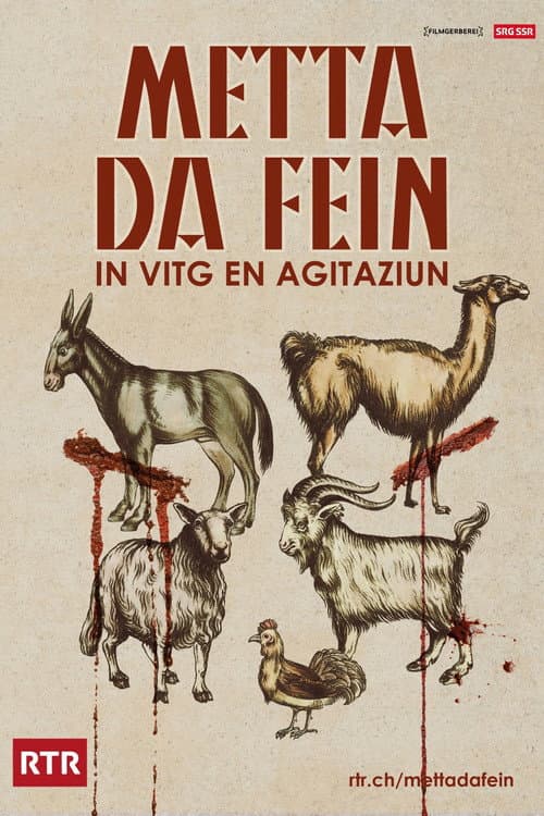 Постер: Metta da fein