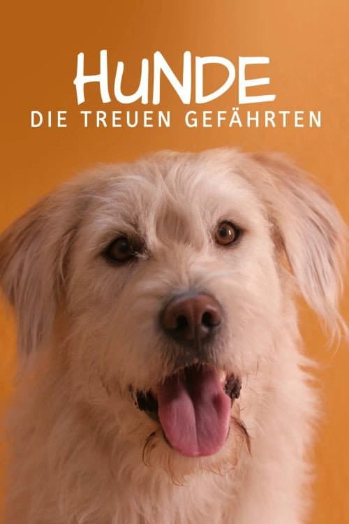 Постер: Une vie de chien