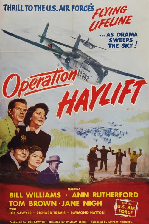 Постер: Operation Haylift