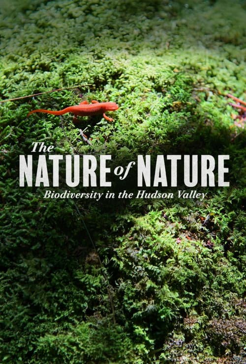 Постер: The Nature of Nature: Biodiversity in the Hudson Valley