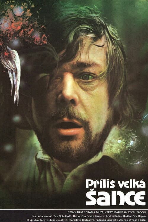 Постер: Příliš velká šance