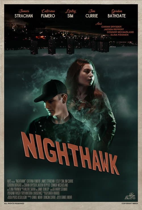Постер: Nighthawk