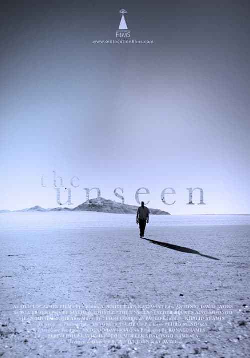 Постер: The Unseen