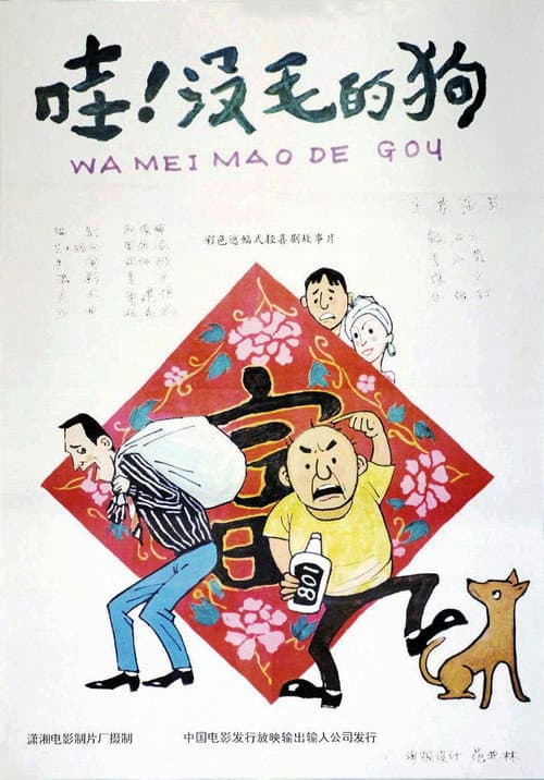 Постер: 哇!没毛的狗