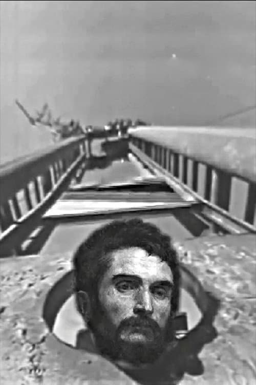 Постер: تخم