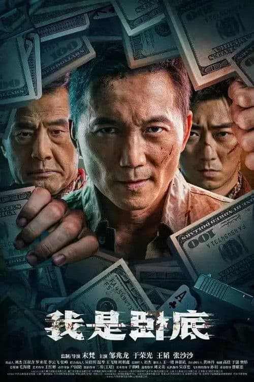 Постер: 我是卧底