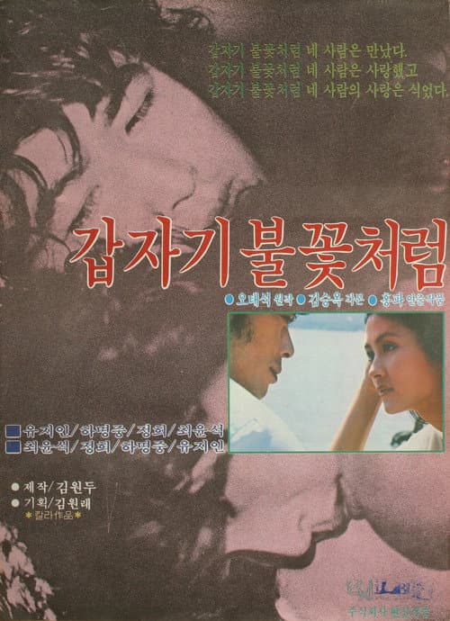Постер: 갑자기 불꽃처럼