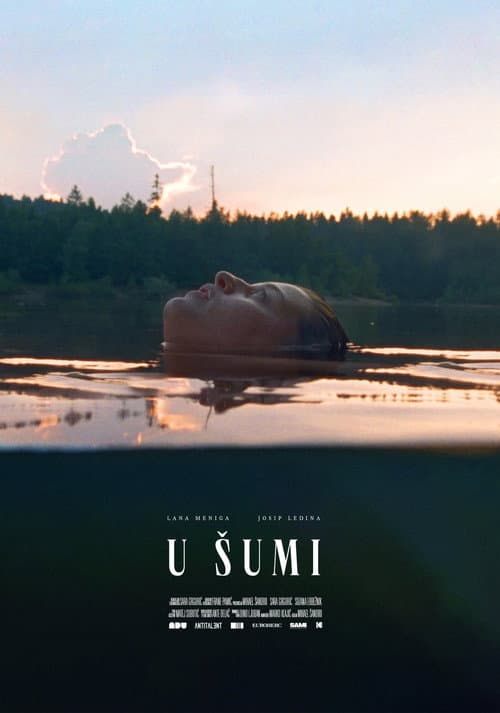 Постер: U šumi