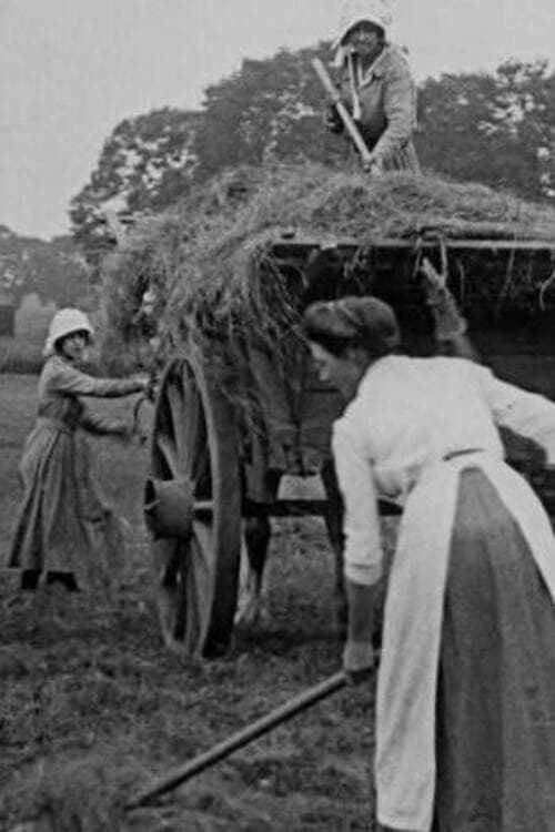 Постер: Women Hay Makers