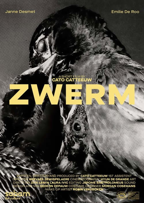 Постер: ZWERM