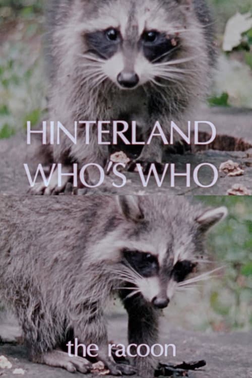 Постер: Hinterland Who's Who: The Raccoon