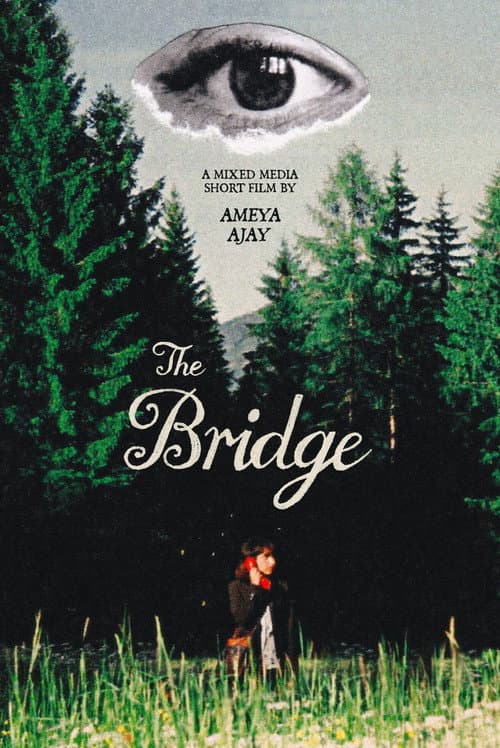 Постер: The Bridge