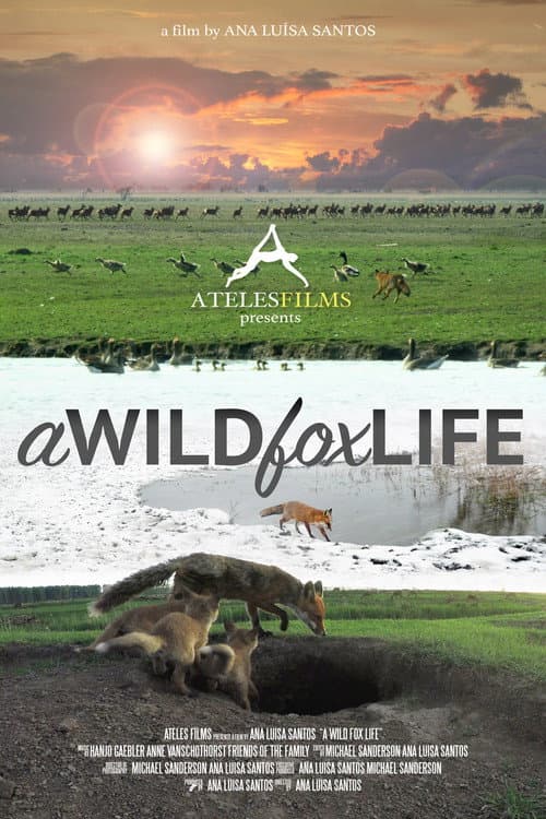 Постер: A Wild Fox Life