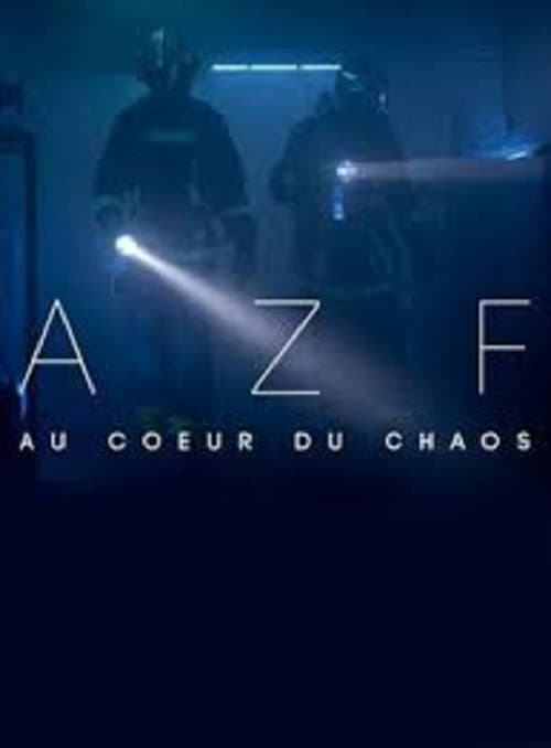 Постер: AZF : au cœur du chaos