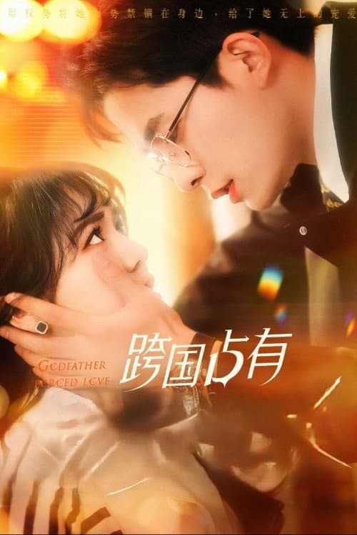 Постер: 跨国占有