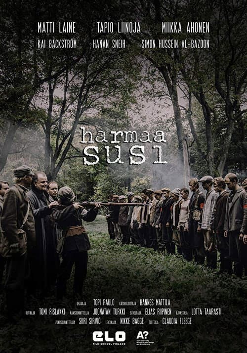 Постер: Harmaa Susi
