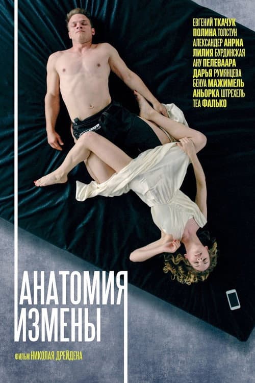 Постер: Анатомия измены