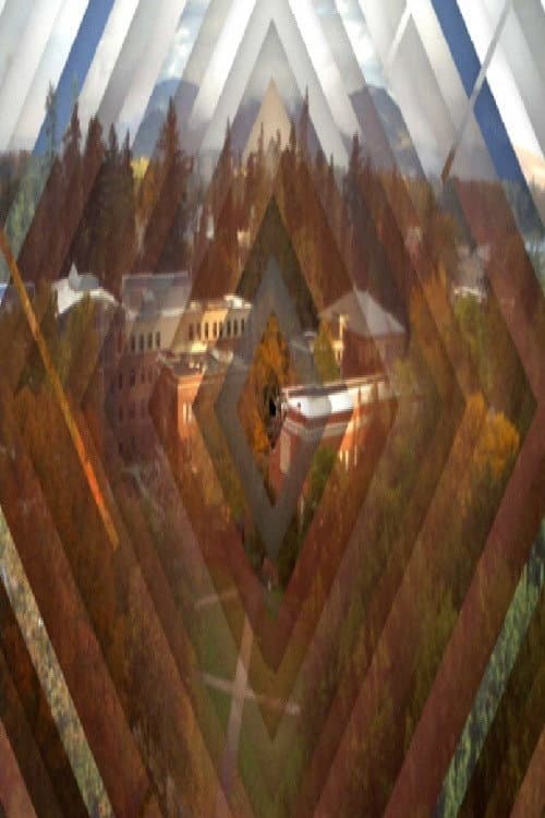Постер: VORTEX TEMPORUM