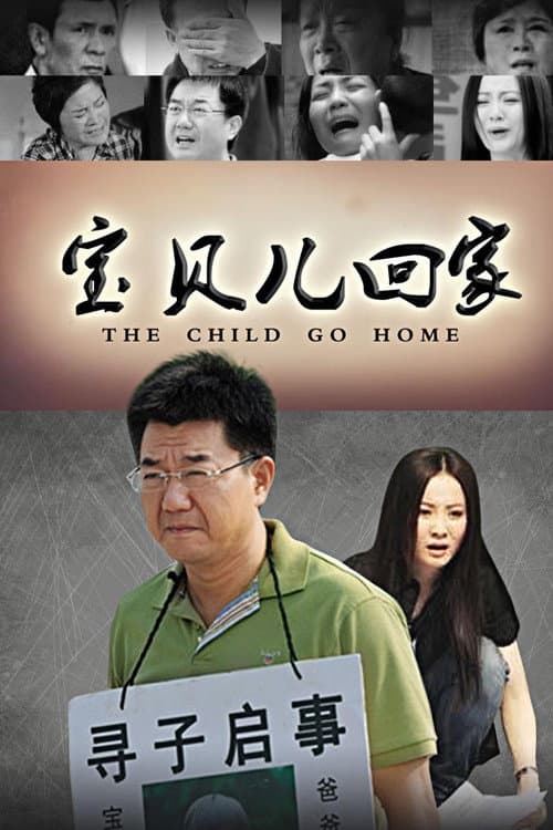 Постер: 宝贝儿回家