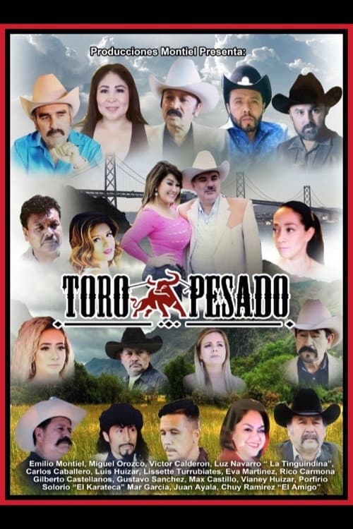 Постер: Toro Pesado