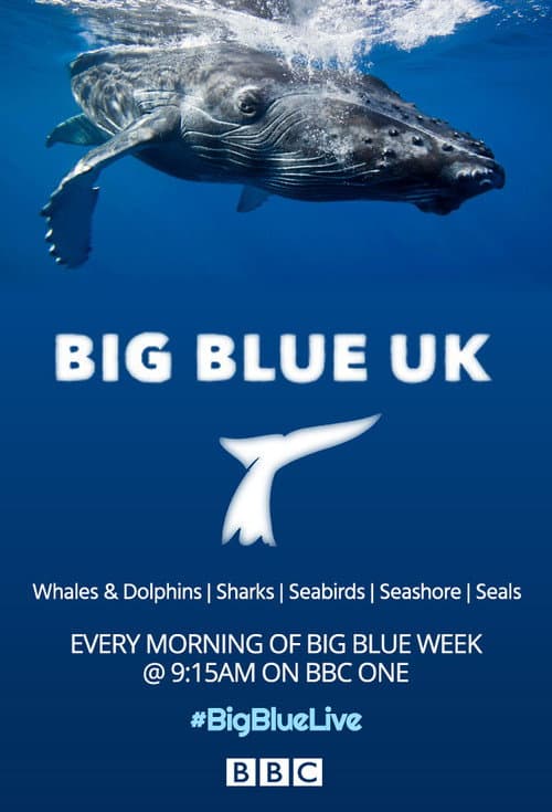 Постер: Big Blue UK