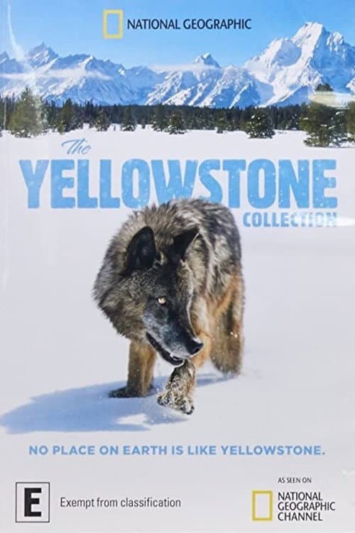 Постер: The Yellowstone Collection