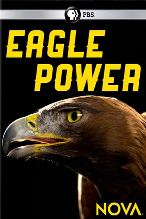 Постер: Eagle Power