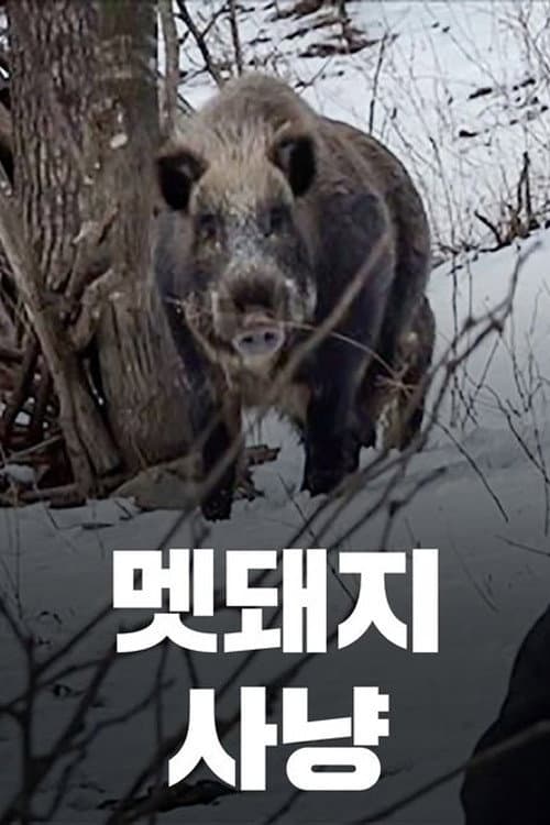 Постер: 멧돼지 사냥