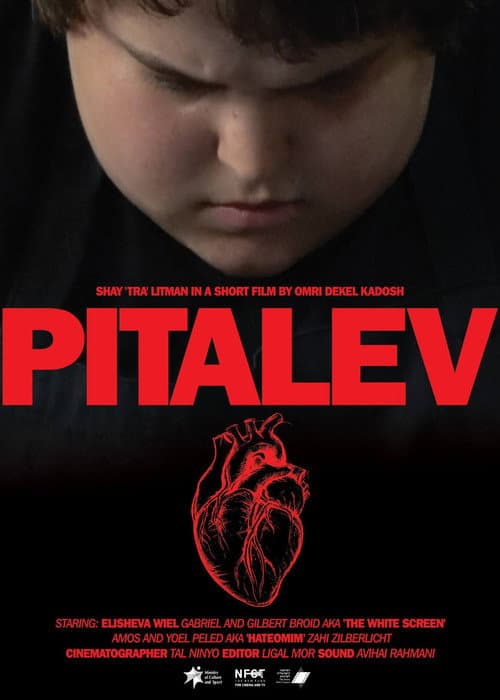Постер: Pitalev
