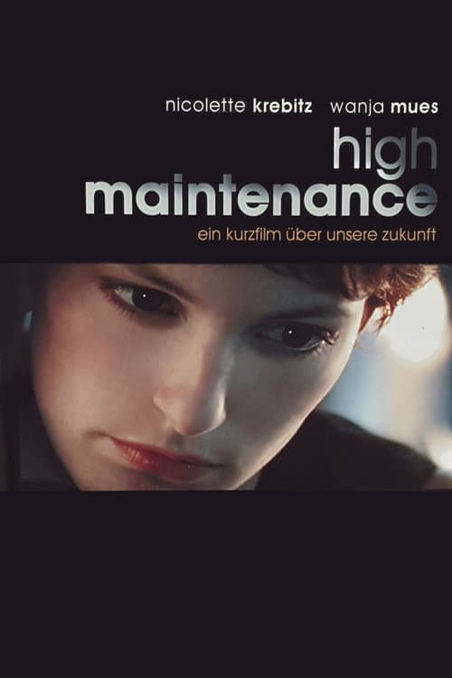 Постер: High Maintenance