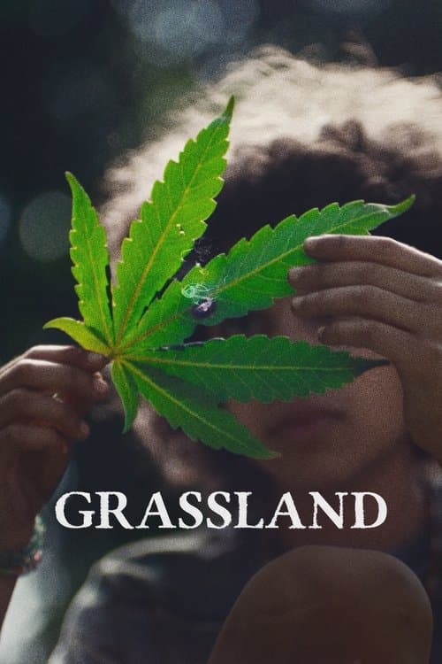 Постер: Grassland