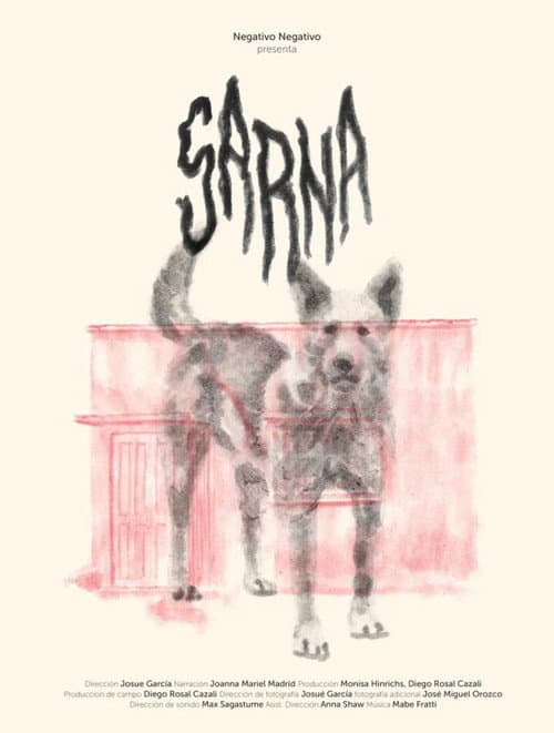 Постер: Sarna